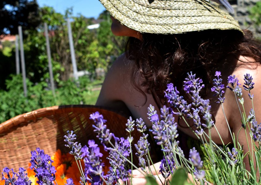 Woman sitting in flowers - Wildgrace Natural Skin Care